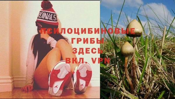 каннабис Пересвет