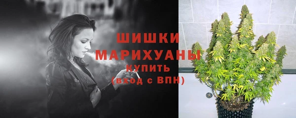 spice Пестово